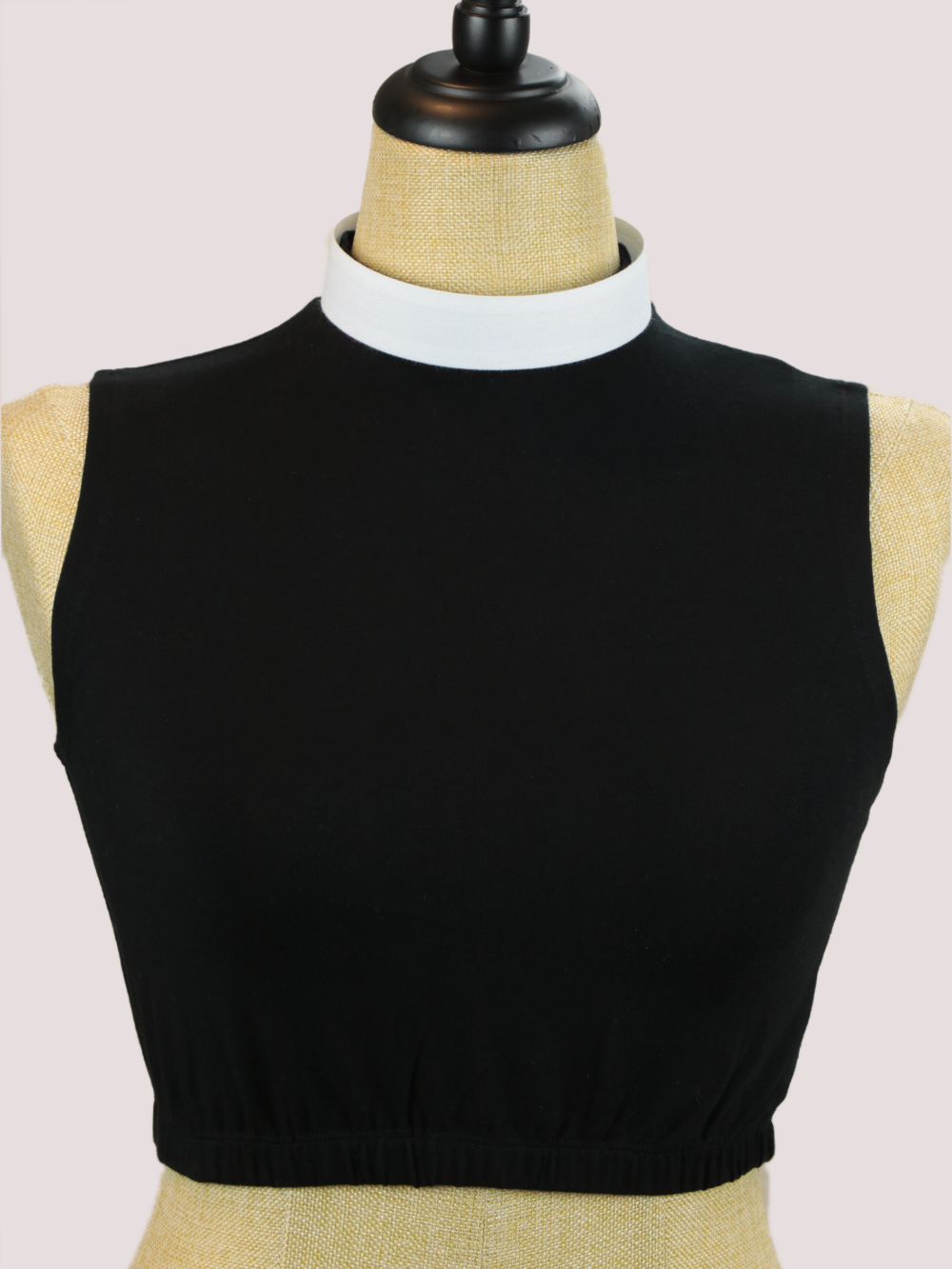 "The Closet" Crop Top (Item 2196)